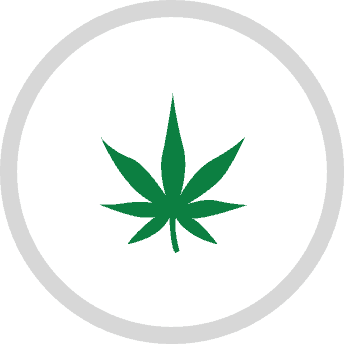 marijuana leaf FAQ frequently asked questions