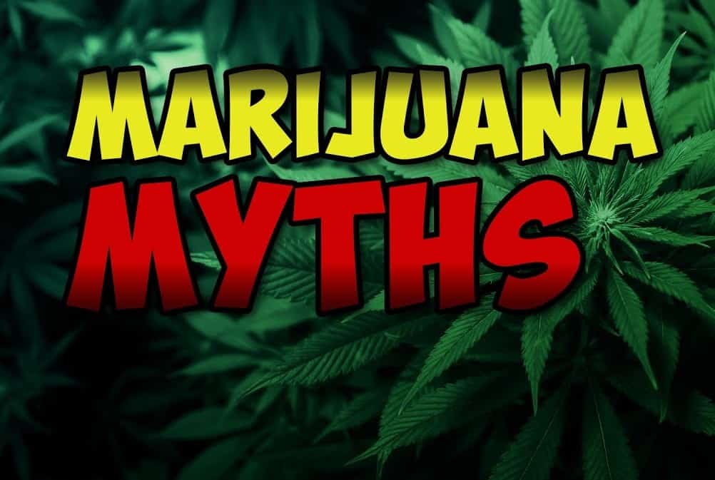 marijuana facts, benefits of medical marijuana, pros and cons of marijuana, cannabis facts, medical marijuana facts, cannabis info, facts about medical marijuana