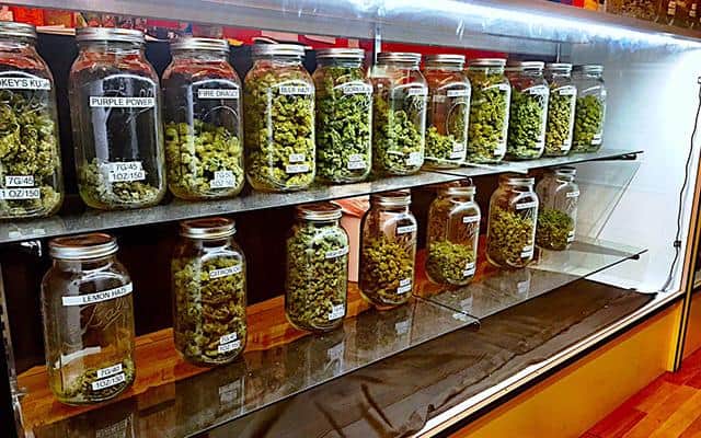 Miami Marijuana Dispensary Locations – A Complete List