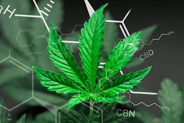 What is CBN (Cannabinol), and How Does this Old Marvel Work?