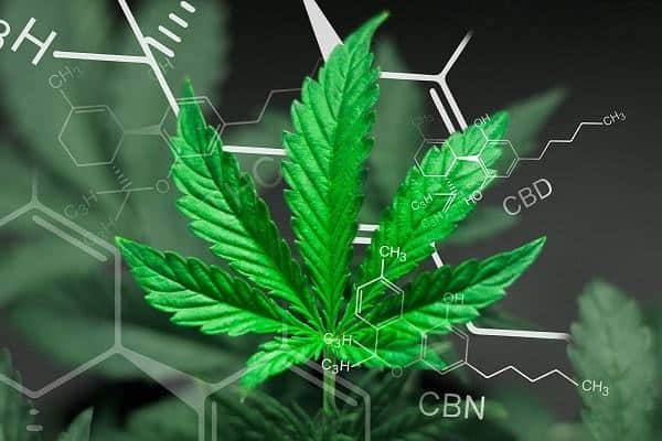 What is CBN