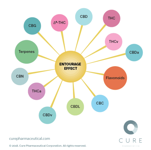 Let’s Talk Terpenes: How to Maximize the Benefits of Cannabis