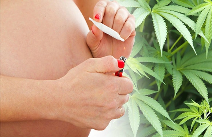 marijuana and pregnancy
