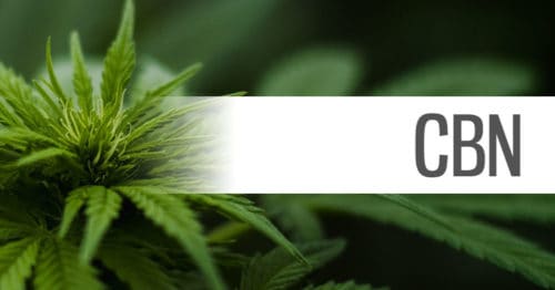 health benefits of cbn cannabinol