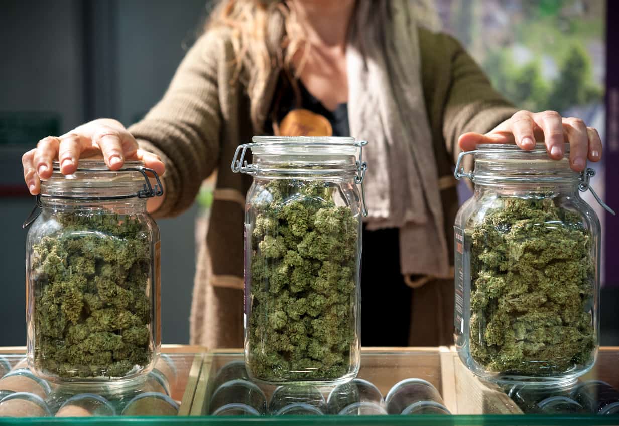 Can I Get my Marijuana Evaluation Online?