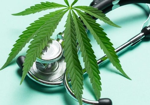Medical Marijuana Doctor Job