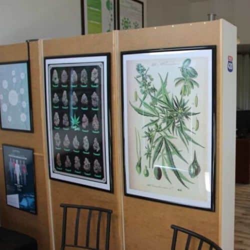 Contact us at KindHealth Florida 649 NE 79 ST Miami FL 33138 United States (786) 953-6838