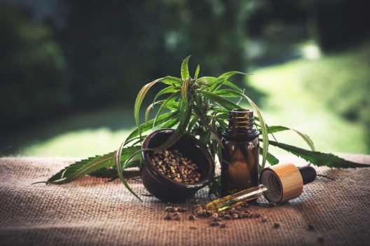 cannabis plant, seeds, dropper