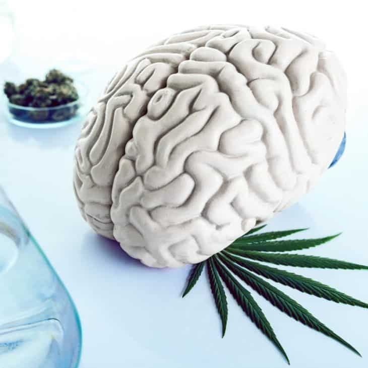using marijuana for epilepsy