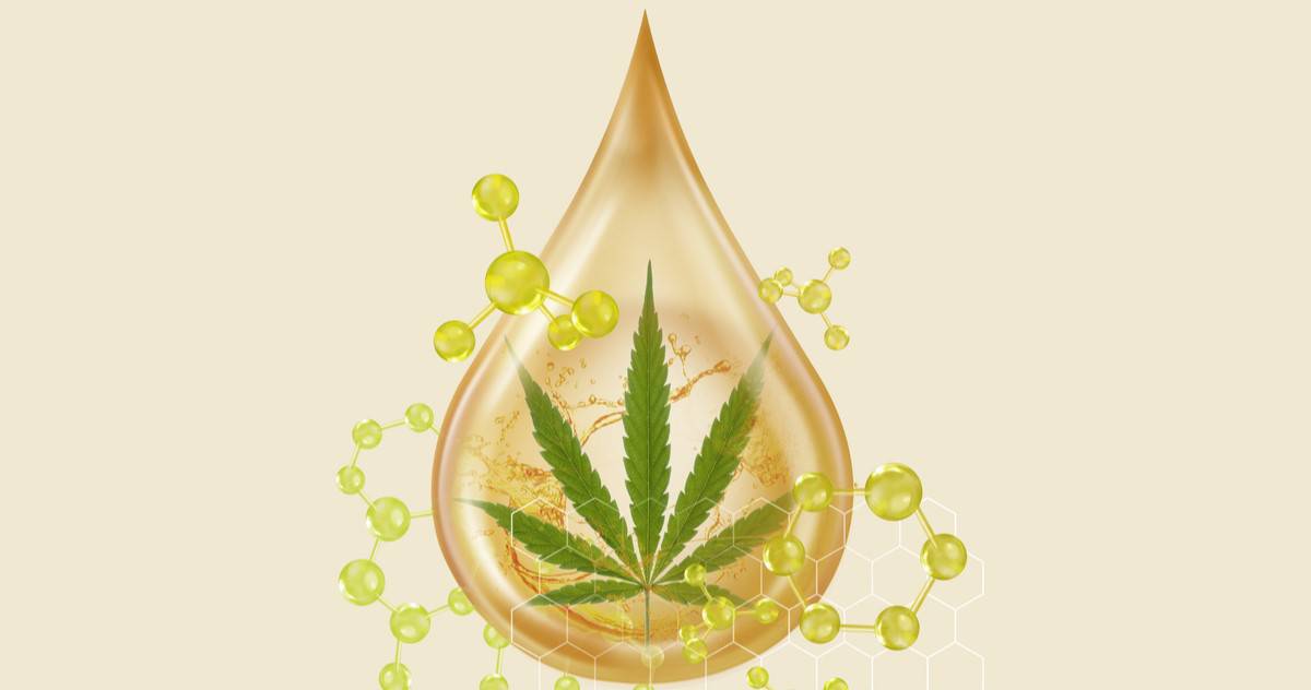 Cannabinoid Oil Demand Rises