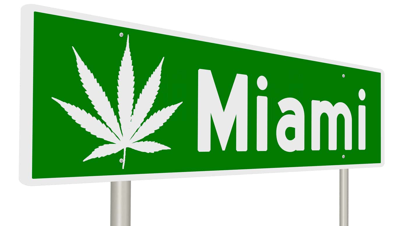 Status of Marijuana Legality in Miami Florida | KindHealth