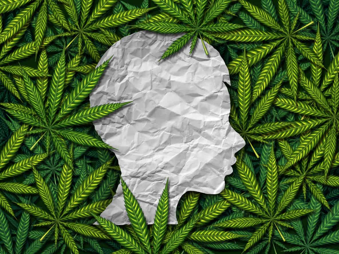 Can higher THC levels lead to drug addiction? Will Florida limit dosing?
