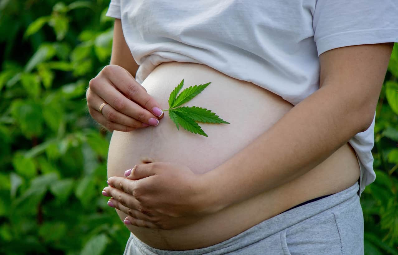How to Consume Marijuana Before and After Pregnancy