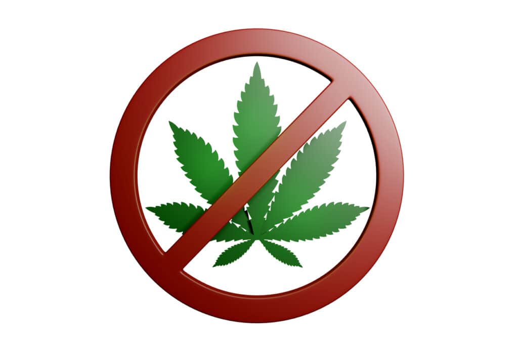 Pros & cons of legalizing marijuana