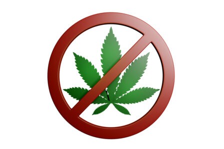 top 5 reasons why marijuana cards are denied.