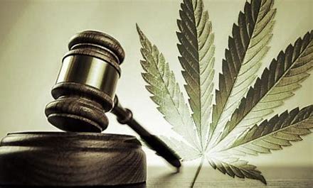 Legal and Social Implications of Cannabis Use in ADHD
