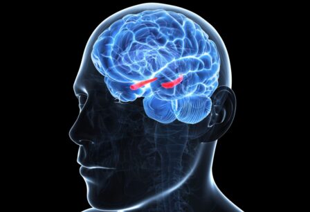 Does Marijuana Cause Memory Loss