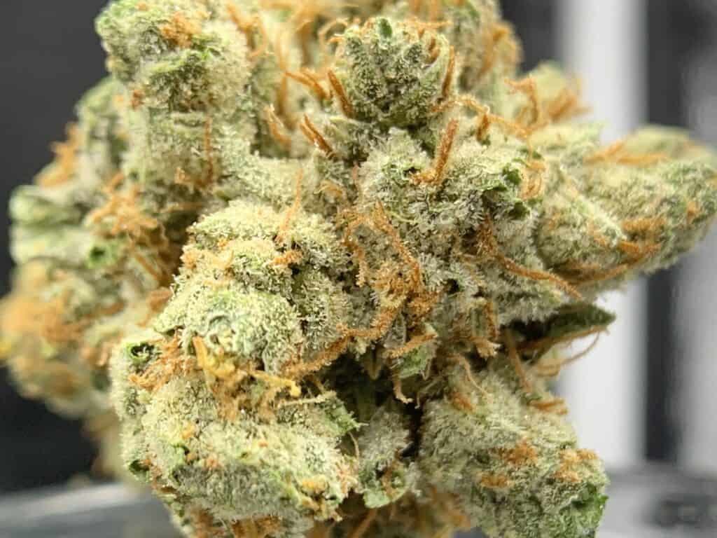 Sativa effects
