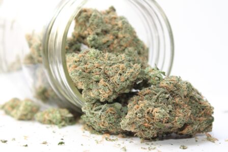 medicinal benefits of sativa
